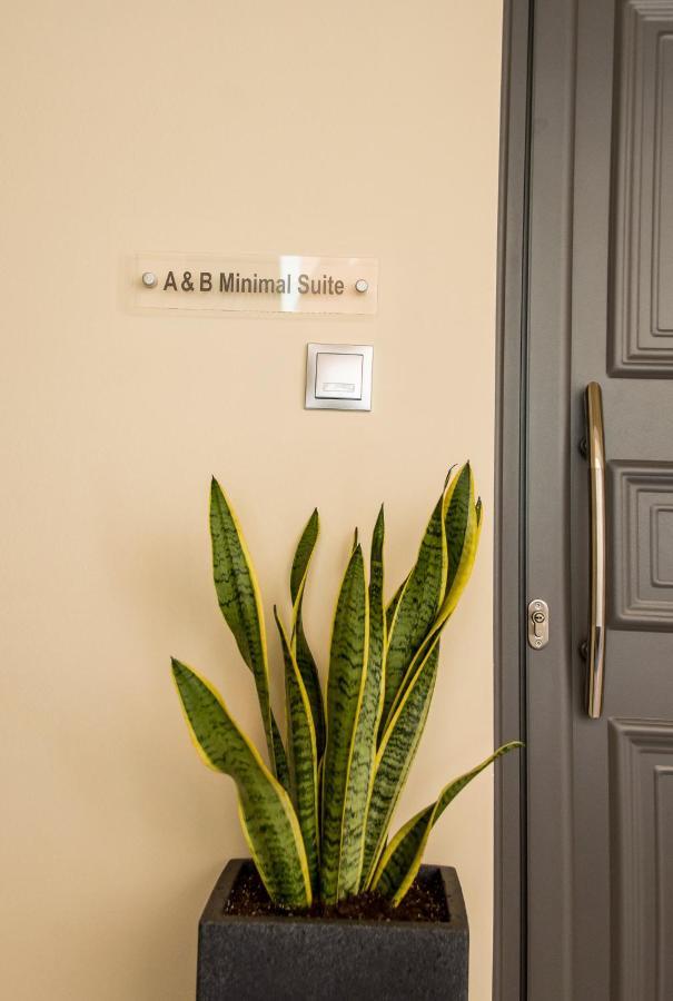 A & B Minimal Suite Ιι With Sea View In Argostoli Exterior photo